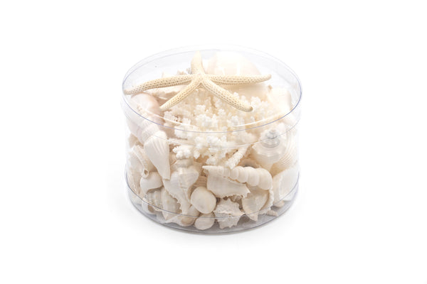 Premium Coral and Seashell Pack - White Whisper